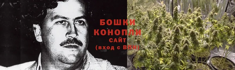 Бошки Шишки OG Kush  цена   Вязьма 